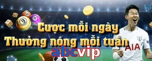abcvip